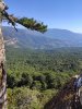 IMG_20200911_092033.jpg