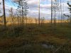 Клуб Ниссан Террано | Форум Terrano-Club.Ru | Фото: IMG_20200912_155301.jpg