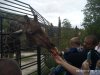 IMG-20200920-WA0001.jpg