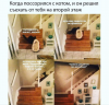 Клуб Ниссан Террано | Форум Terrano-Club.Ru | Фото: Ссора.png