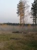 Клуб Ниссан Террано | Форум Terrano-Club.Ru | Фото: IMG-41a21e6de198a525c37bad9ab10f2a8d-V.jpg