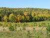 Клуб Ниссан Террано | Форум Terrano-Club.Ru | Фото: IMG_0039.JPG