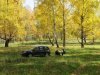 Клуб Ниссан Террано | Форум Terrano-Club.Ru | Фото: IMG_0020.JPG