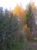 Клуб Ниссан Террано | Форум Terrano-Club.Ru | Фото: IMG_20200927_174950.jpg