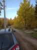Клуб Ниссан Террано | Форум Terrano-Club.Ru | Фото: IMG_20200927_174816.jpg