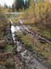 Клуб Ниссан Террано | Форум Terrano-Club.Ru | Фото: IMG_20200927_142900.jpg