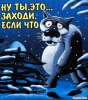 Заходи если что.jpg