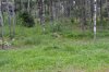 Клуб Ниссан Террано | Форум Terrano-Club.Ru | Фото: 2018-04 Фукуок (3311).jpg