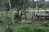 Клуб Ниссан Террано | Форум Terrano-Club.Ru | Фото: 2018-04 Фукуок (3326).jpg