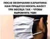 Клуб Ниссан Террано | Форум Terrano-Club.Ru | Фото: Уши.jpg