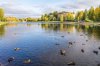 Клуб Ниссан Террано | Форум Terrano-Club.Ru | Фото: 1602909030.jpg