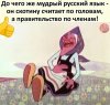 Клуб Ниссан Террано | Форум Terrano-Club.Ru | Фото: 1605201077.jpg