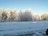 Клуб Ниссан Террано | Форум Terrano-Club.Ru | Фото: IMG_20201114_114838.jpg
