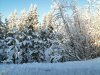 Клуб Ниссан Террано | Форум Terrano-Club.Ru | Фото: IMG_20201114_114927.jpg