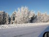 Клуб Ниссан Террано | Форум Terrano-Club.Ru | Фото: 16053369146731076163840737429265.jpg