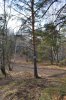 Клуб Ниссан Террано | Форум Terrano-Club.Ru | Фото: 2020 Белокукиха (289).jpg