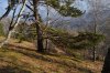 Клуб Ниссан Террано | Форум Terrano-Club.Ru | Фото: 2020 Белокукиха (370).jpg