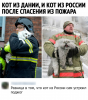Клуб Ниссан Террано | Форум Terrano-Club.Ru | Фото: 9.png