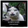 Клуб Ниссан Террано | Форум Terrano-Club.Ru | Фото: 1.png