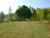 Клуб Ниссан Террано | Форум Terrano-Club.Ru | Фото: DSC04703.JPG