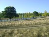 Клуб Ниссан Террано | Форум Terrano-Club.Ru | Фото: DSC04733.JPG