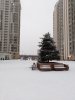 Клуб Ниссан Террано | Форум Terrano-Club.Ru | Фото: IMG_20201123_084908.jpg