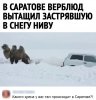 Клуб Ниссан Террано | Форум Terrano-Club.Ru | Фото: 1606484336.jpg