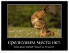 Клуб Ниссан Террано | Форум Terrano-Club.Ru | Фото: 4.png
