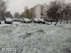 Клуб Ниссан Террано | Форум Terrano-Club.Ru | Фото: 1606664940410.jpg