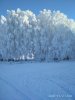 Клуб Ниссан Террано | Форум Terrano-Club.Ru | Фото: IMG_20201202_140203.jpg