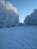 Клуб Ниссан Террано | Форум Terrano-Club.Ru | Фото: IMG_20201202_140158.jpg