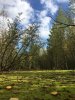 Клуб Ниссан Террано | Форум Terrano-Club.Ru | Фото: 863E2470-5930-446C-BDB7-20C3E30A8CCC.jpeg