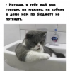 Клуб Ниссан Террано | Форум Terrano-Club.Ru | Фото: Не потянуть.png