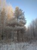 Клуб Ниссан Террано | Форум Terrano-Club.Ru | Фото: IMG_20201205_130040.jpg