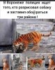 Клуб Ниссан Террано | Форум Terrano-Club.Ru | Фото: IMG-20201222-WA0009.jpg