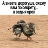 Клуб Ниссан Террано | Форум Terrano-Club.Ru | Фото: Петух.jpg