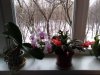Клуб Ниссан Террано | Форум Terrano-Club.Ru | Фото: IMG_20201224_132453.jpg