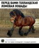 Клуб Ниссан Террано | Форум Terrano-Club.Ru | Фото: Screenshot_20201227_163330.jpg