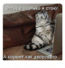 Клуб Ниссан Террано | Форум Terrano-Club.Ru | Фото: 6.png