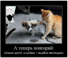 Клуб Ниссан Террано | Форум Terrano-Club.Ru | Фото: 7.png