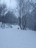 Клуб Ниссан Террано | Форум Terrano-Club.Ru | Фото: IMG_20210102_123400.jpg