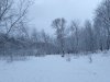 Клуб Ниссан Террано | Форум Terrano-Club.Ru | Фото: IMG_20210102_123350.jpg