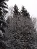 Клуб Ниссан Террано | Форум Terrano-Club.Ru | Фото: IMG_20210104_115408.jpg