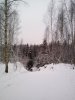 IMG_20210104_112750.jpg