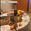 Клуб Ниссан Террано | Форум Terrano-Club.Ru | Фото: 8.png