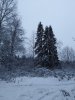 Клуб Ниссан Террано | Форум Terrano-Club.Ru | Фото: IMG_20210109_113156.jpg