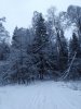 Клуб Ниссан Террано | Форум Terrano-Club.Ru | Фото: IMG_20210109_130602.jpg