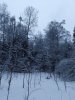 Клуб Ниссан Террано | Форум Terrano-Club.Ru | Фото: IMG_20210109_130619.jpg