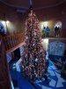 Клуб Ниссан Террано | Форум Terrano-Club.Ru | Фото: IMG_20210104_135307.jpg