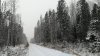 Клуб Ниссан Террано | Форум Terrano-Club.Ru | Фото: IMG_20201226_132404.jpg